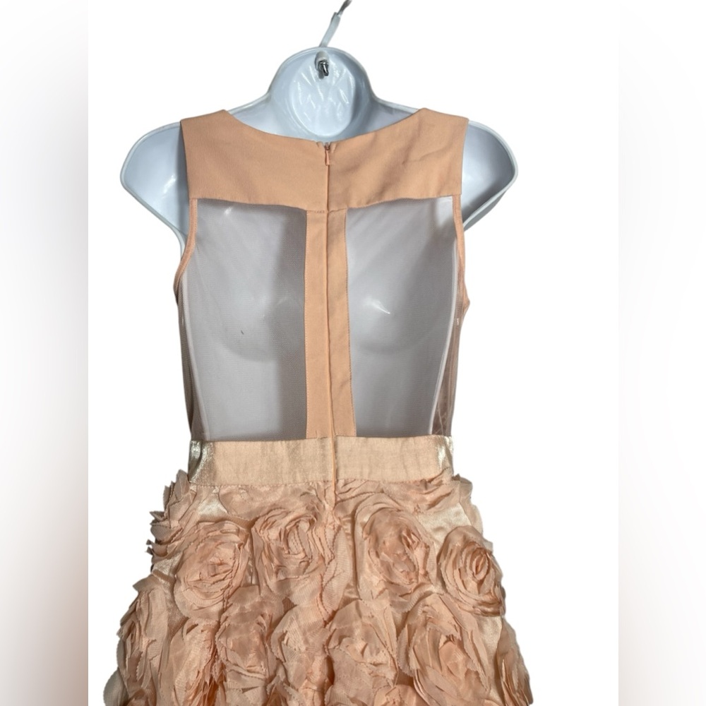 A Drea dress size small beautiful blush pink fit-n-flare sheer back mini dress‎ - Picture 6 of 10